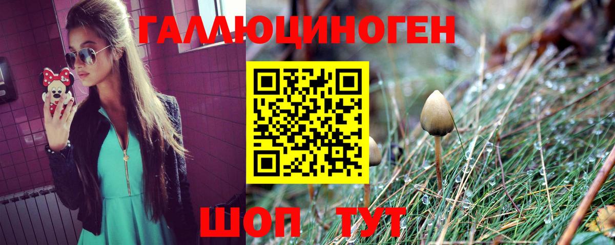 Полевской  Галлюциногенные грибы Psilocybine cubensis  купить закладку  Вход с VPN 